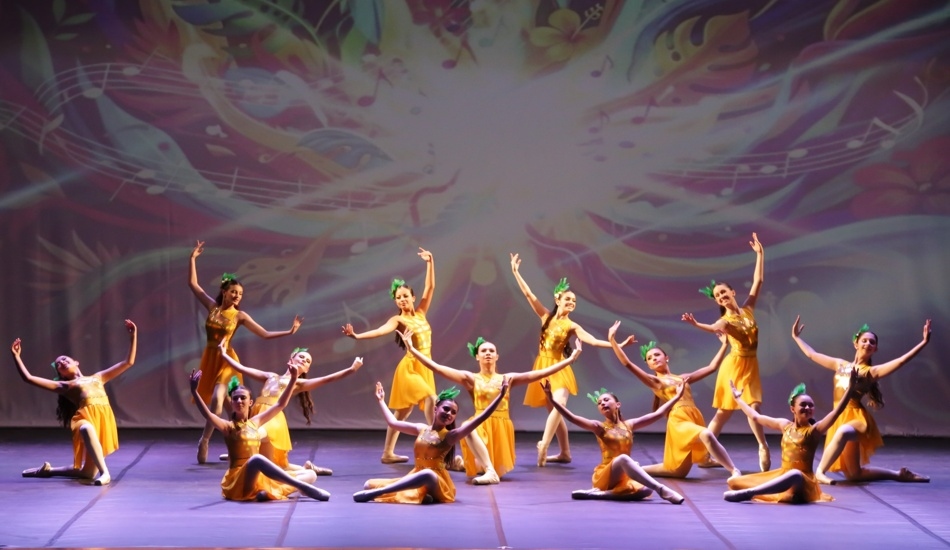 BRASIL: Canção em forma de dança - 2026